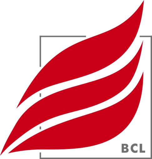 Brandschutz Consult Leipzig